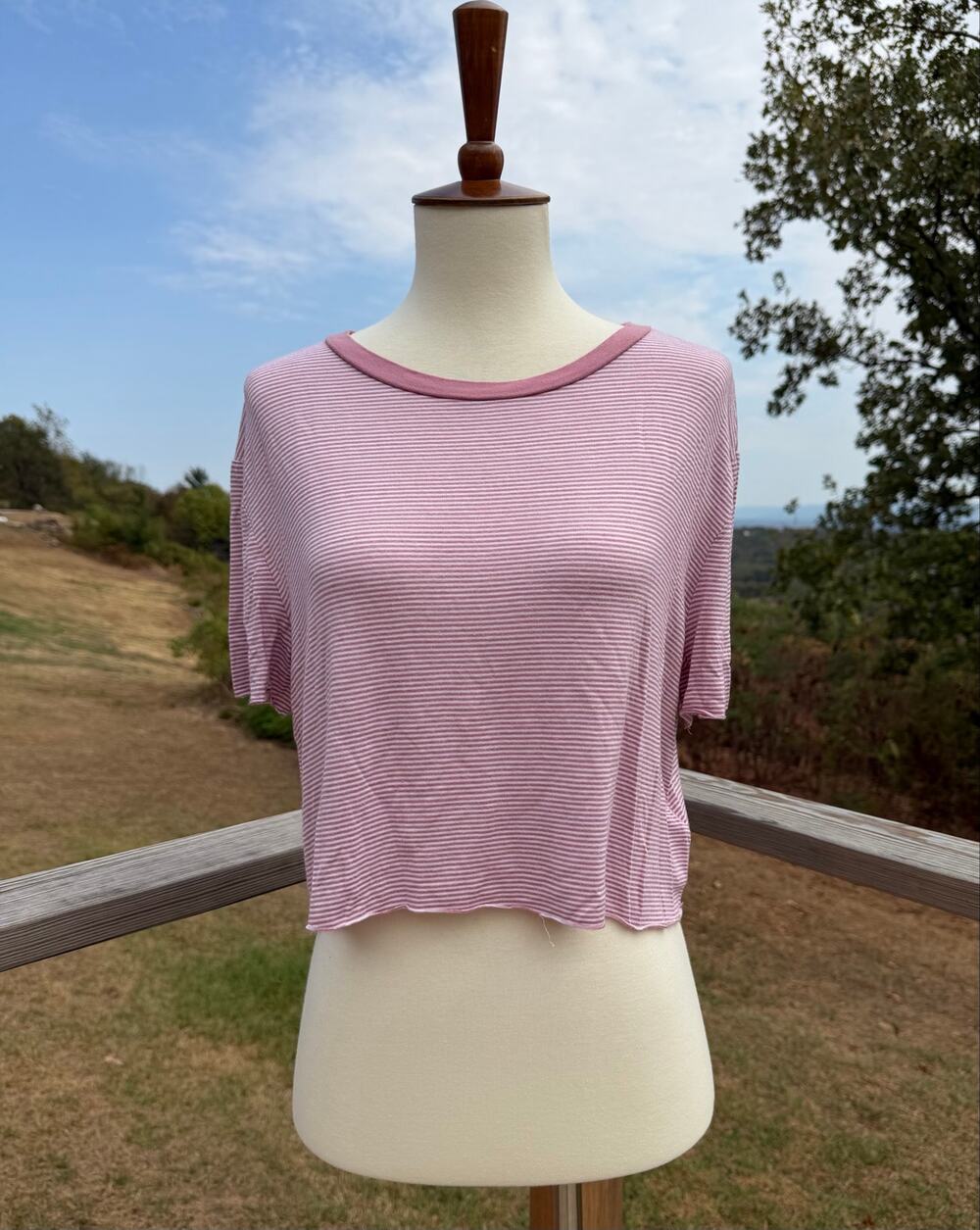 PST Los Angeles By Project Social T Pink Striped Crop Top Women’s Size Small